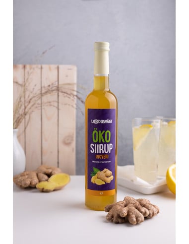 KAST 6 tk! Loodusvägi ÖKO ingveri siirup 500ml...