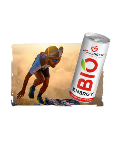KAST 12 tk! Höllinger ÖKO energiajook 250ml (+ PANT) AT-BIO-501