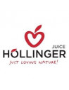 Höllinger