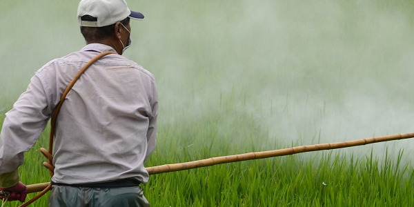 Pestitsiidide jäägid toidus maksavad lõivu tervisele