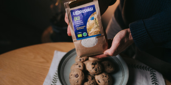 Šokolaaditükkidega rukkijahust küpsised 