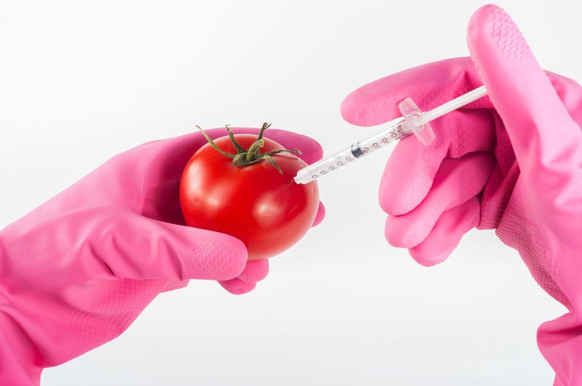 GMO geneetiliselt muundatud organismide mõjust inimestele